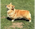 Small #4 Breeder Profile image