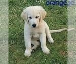 Small #8 Breeder Profile image