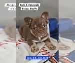 Small #6 Breeder Profile image
