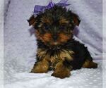Small #10 Breeder Profile image