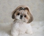 Small #5 Breeder Profile image