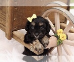 Small #27 Breeder Profile image