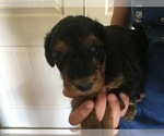 Small #5 Breeder Profile image