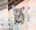 Small #7 Breeder Profile image