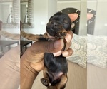 Small #4 Breeder Profile image