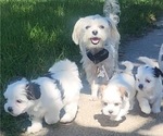Small #3 Breeder Profile image
