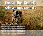 Small #1 Breeder Profile image