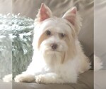Small #4 Breeder Profile image
