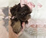 Small #11 Breeder Profile image