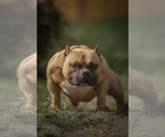 Small #15 Breeder Profile image