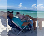 Small #14 Breeder Profile image