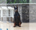 Small #14 Breeder Profile image