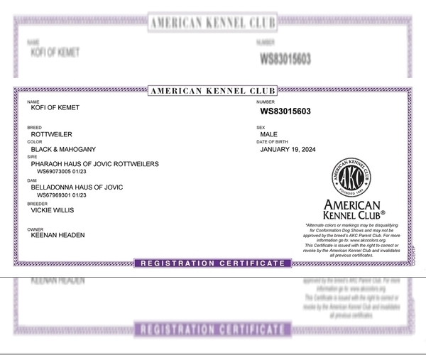 Medium Photo #3  Breeder Profile in BAHAMA, NC, USA