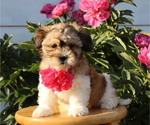 Small #40 Breeder Profile image