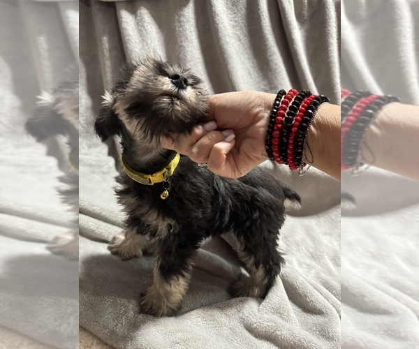 Medium Photo #1  Breeder Profile in TRINITY, TX, USA
