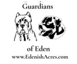 Small #1 Breeder Profile image