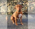 Small #3 Breeder Profile image