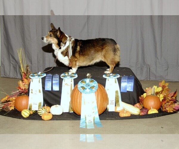 Medium Photo #1  Breeder Profile in FOLEY, MN, USA