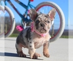 Small #5 Breeder Profile image