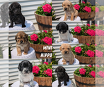 Small #2 Breeder Profile image