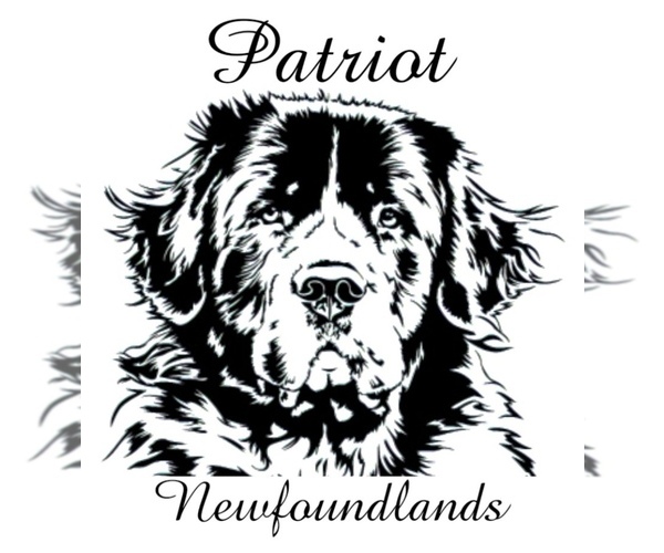 Medium Photo #12  Breeder Profile in MARTINSBURG, WV, USA