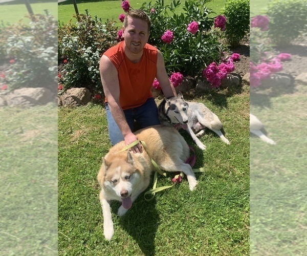Medium Photo #1  Breeder Profile in JAMESTOWN, PA, USA