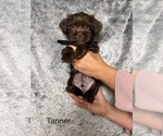 Small #87 Breeder Profile image