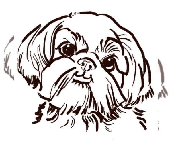 Medium Photo #1  Breeder Profile in DENTON, NC, USA