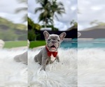 Small #4 Breeder Profile image
