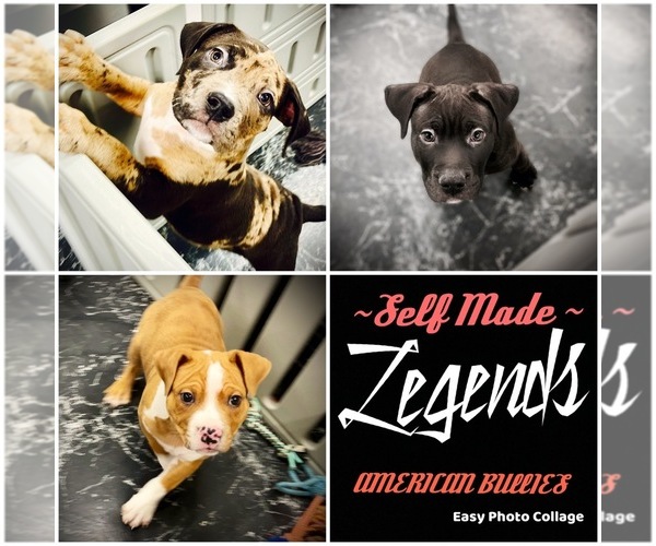 Medium Photo #1  Breeder Profile in REESEVILLE, WI, USA