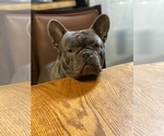 Small #40 Breeder Profile image