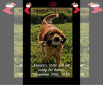 Small #7 Breeder Profile image