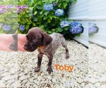 Small #5 Breeder Profile image