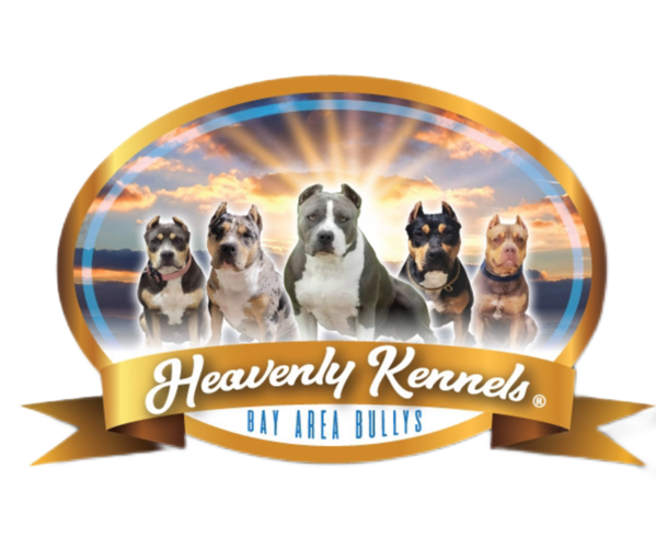 Medium Photo #1  Breeder Profile in SAN JOSE, CA, USA