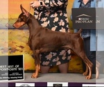 Small #9 Breeder Profile image