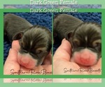 Small #4 Breeder Profile image
