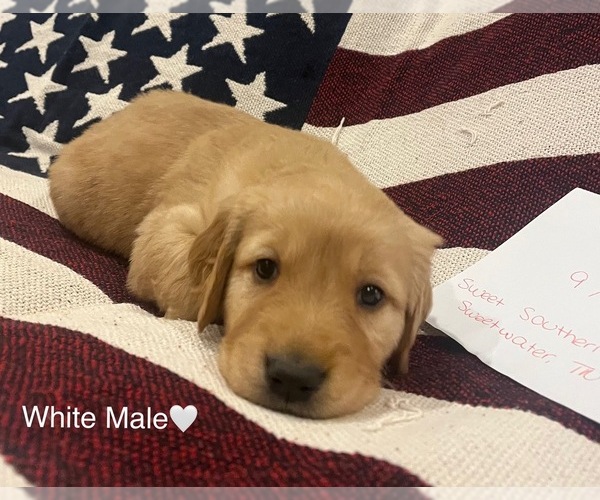 Medium Photo #39  Breeder Profile in SWEETWATER, TN, USA