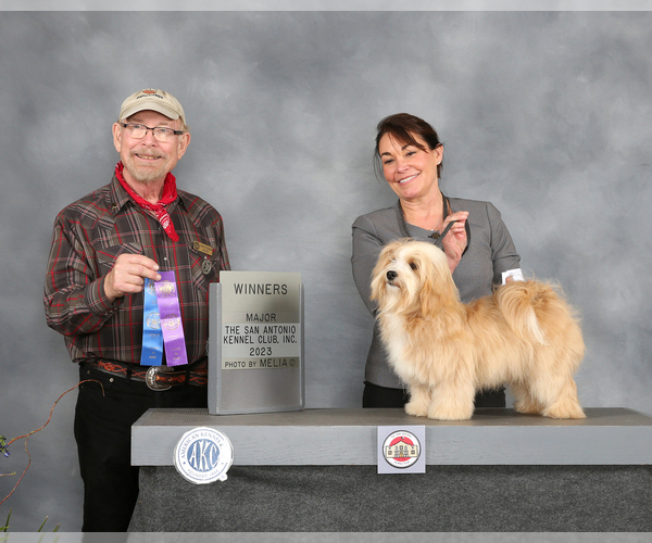 Medium Photo #5  Breeder Profile in CAMPBELL, TX, USA
