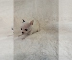 Small #4 Breeder Profile image