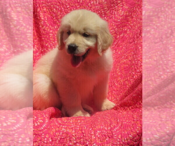 Medium Photo #24  Breeder Profile in MECHANICSVILLE, MD, USA