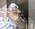 Small #7 Breeder Profile image
