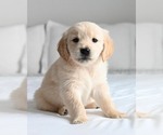 Small #6 Breeder Profile image
