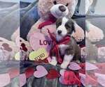 Small #27 Breeder Profile image