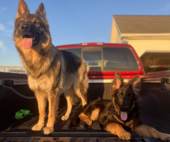 Medium Photo #1  Breeder Profile in SUMMER SHADE, KY, USA