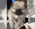 Small #3 Breeder Profile image