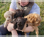 Small #3 Breeder Profile image
