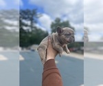 Small #7 Breeder Profile image