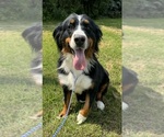 Small #18 Breeder Profile image