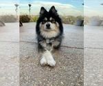 Small #14 Breeder Profile image