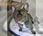 Small #6 Breeder Profile image